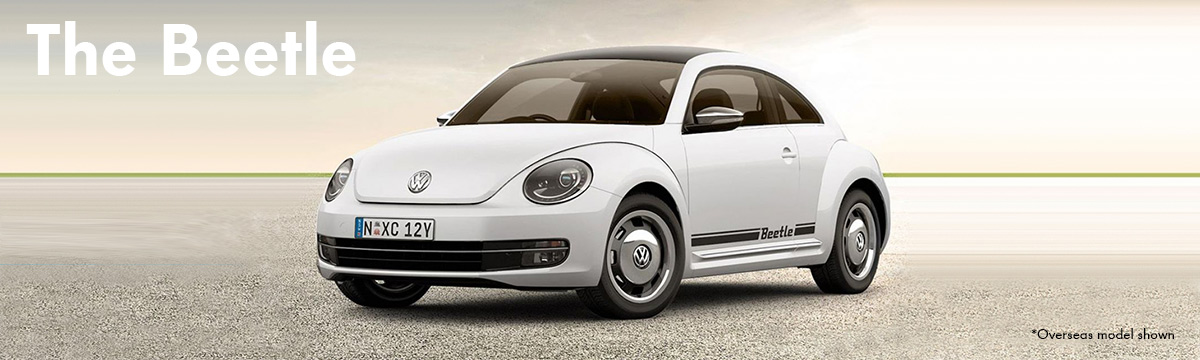 model-beetle
